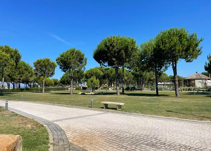 Sanpietro Premium 224 *